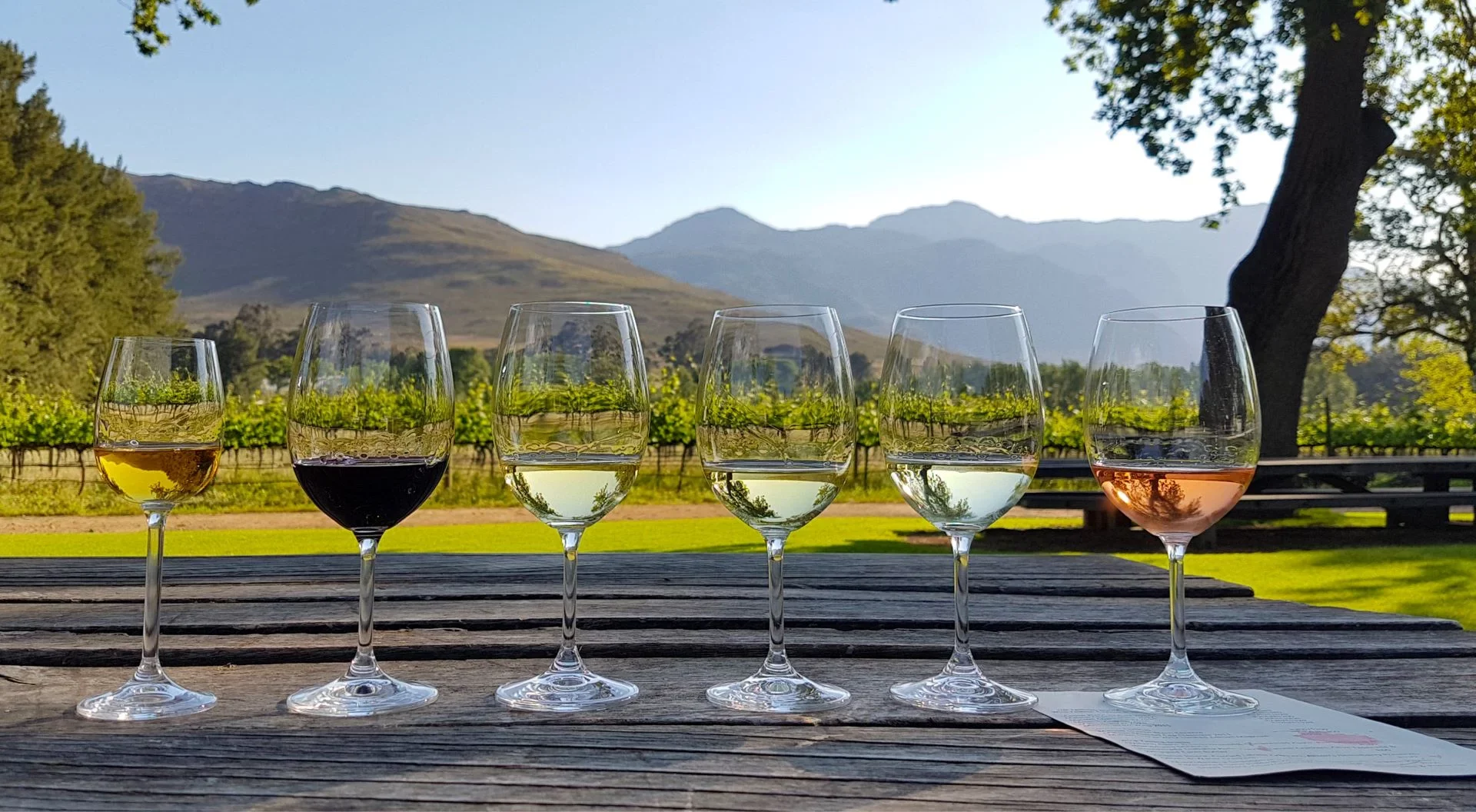 WIne tasting in the Cape Town Winelands with Atzaro Cape Town 