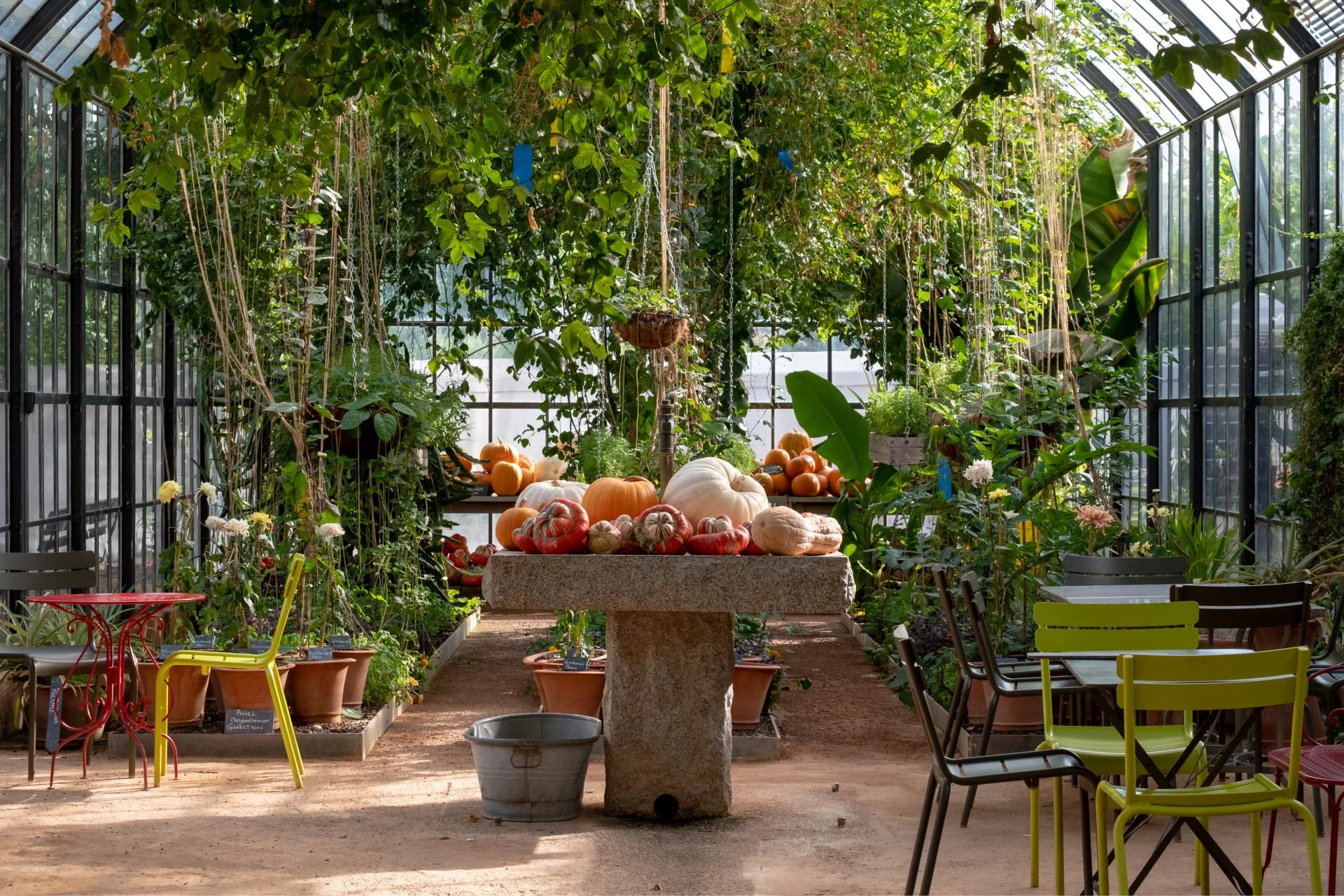 The Green House at Babylonstroen filled with greenary and pumpkins