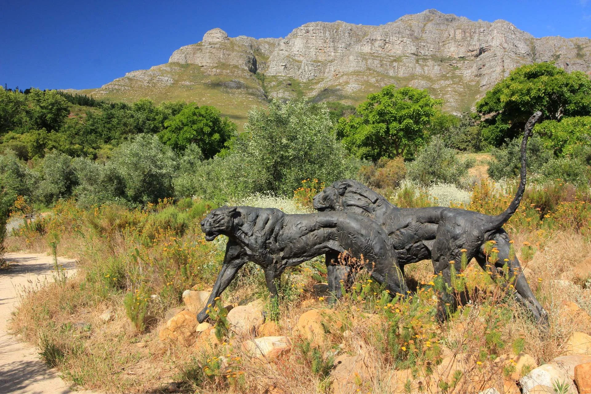 Lion sculptures at Kirstenbosch National Botanical Garden