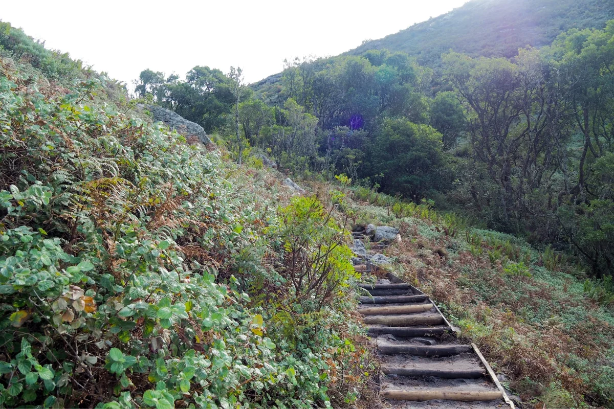 Embark on a scenic hiking adventure at Atzaro Cape Town, with this trail offering stunning views and fresh mountain air.