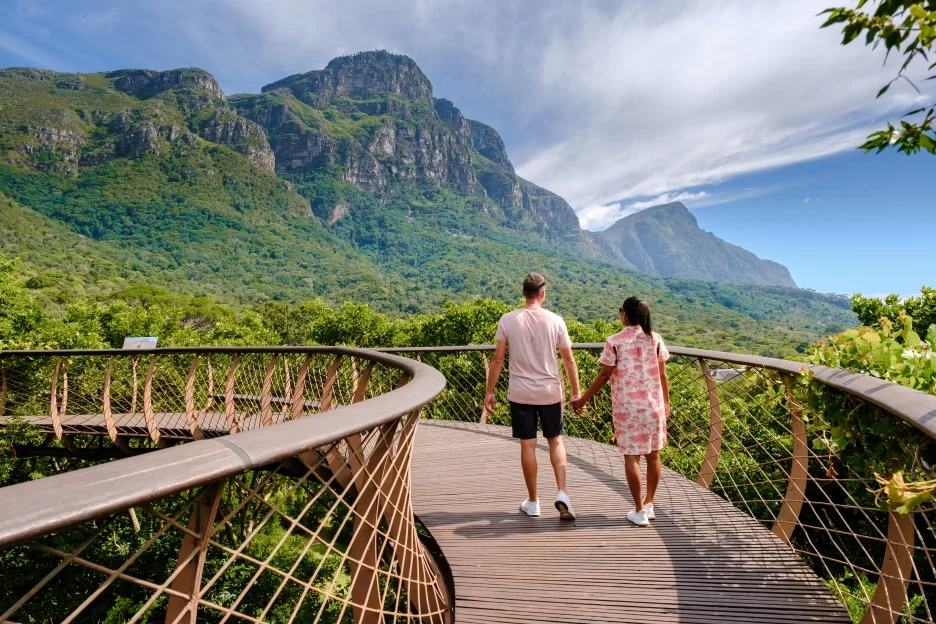 Kirstenbosch Tree Canopy Walkway