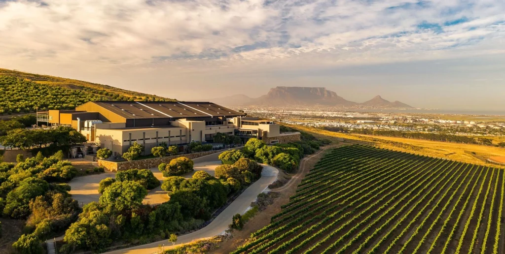 An image of Durbanville Hills wine farm featuring lush vineyards, with the iconic Table Mountain range in the background