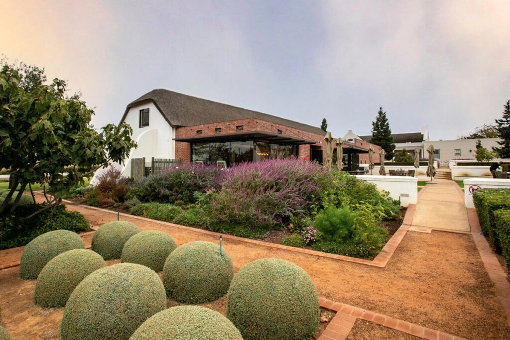 The Groot Phesantekraal restaurant and tasting room showcasing its Cape Dutch-style architecture