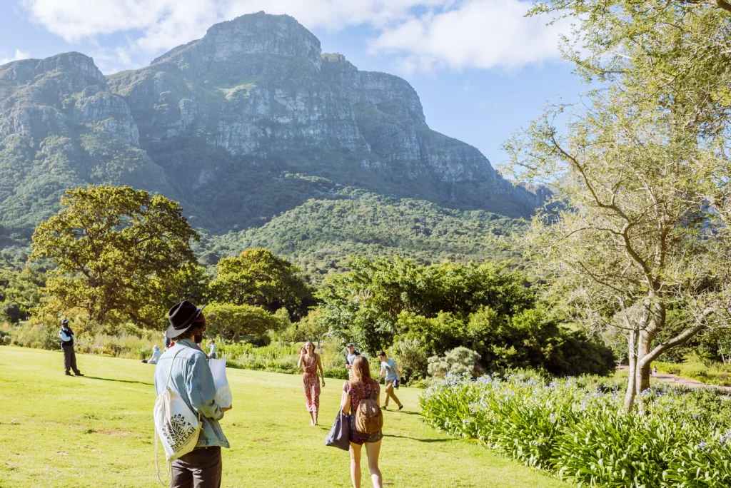 A lush green Kirstenbosch Gardens framed by rugged mountains