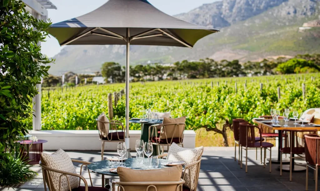 Scenic outdoor dining area at Steenberg Farm, set against a lush vineyard