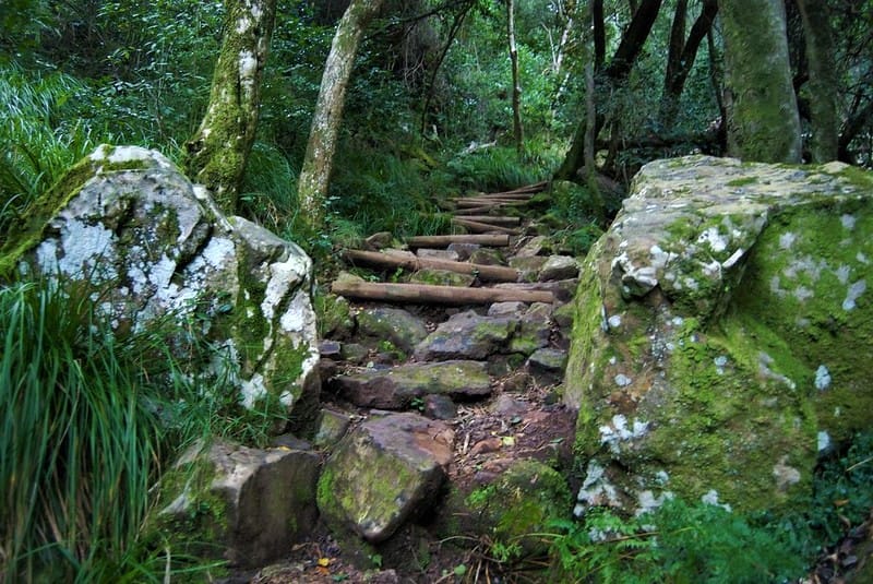 Skeleton Gorge Hiking Train