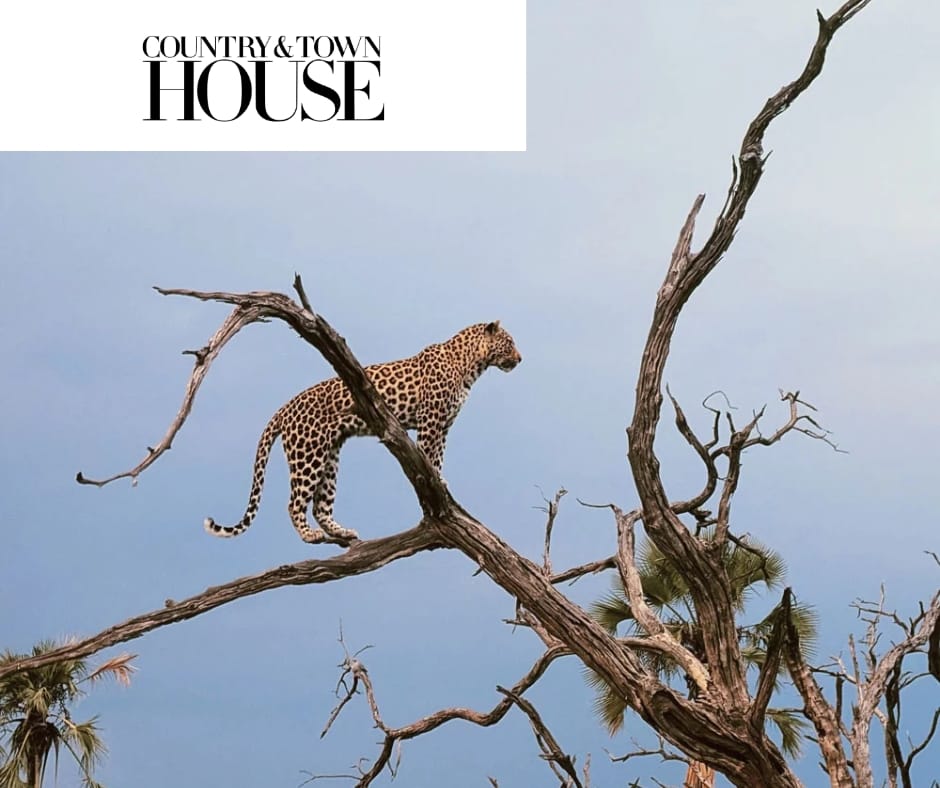 Pictures with logos (1)