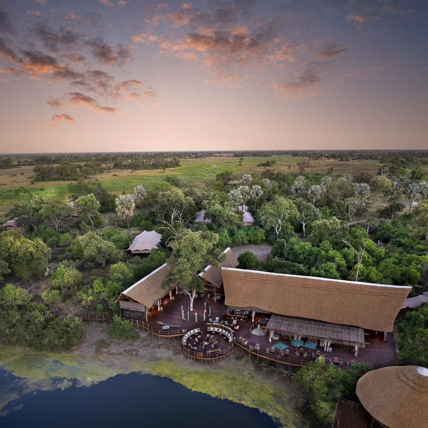 Collage of Okavango Delta wildlife featuring a resting lioness, saddle-billed storks in flight, and an African elephant near a luxury safari vehicle.