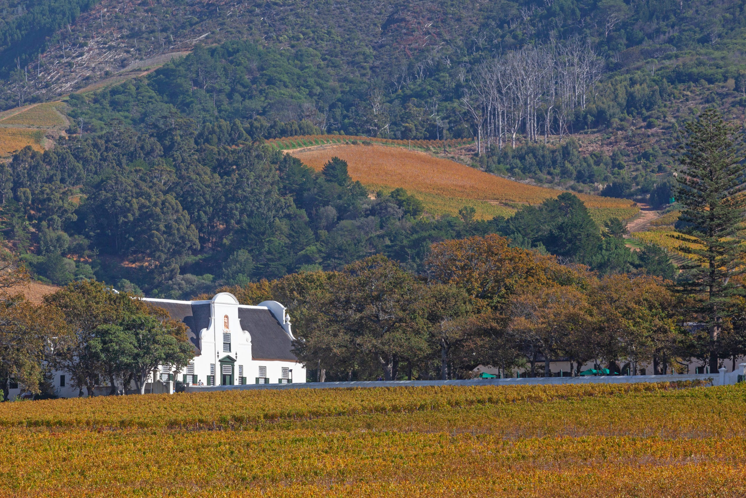 Groot Constantia, the finest surviving example of Cape Dutch architecture, and one of South Africa’s foremost historical monuments tourist attractions, dates back to 1685.