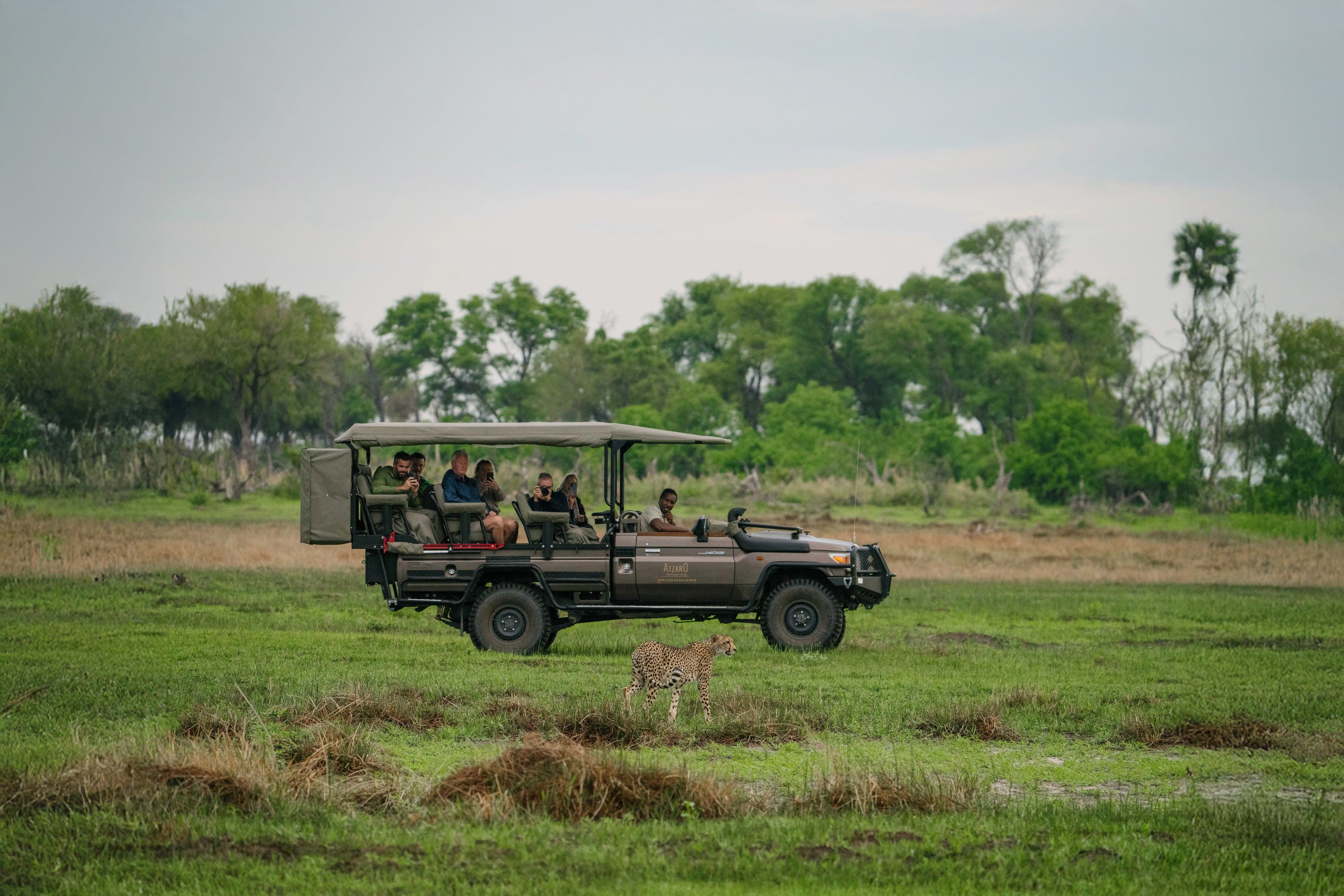 Safari Games Drive Atzaró Okavango Camp