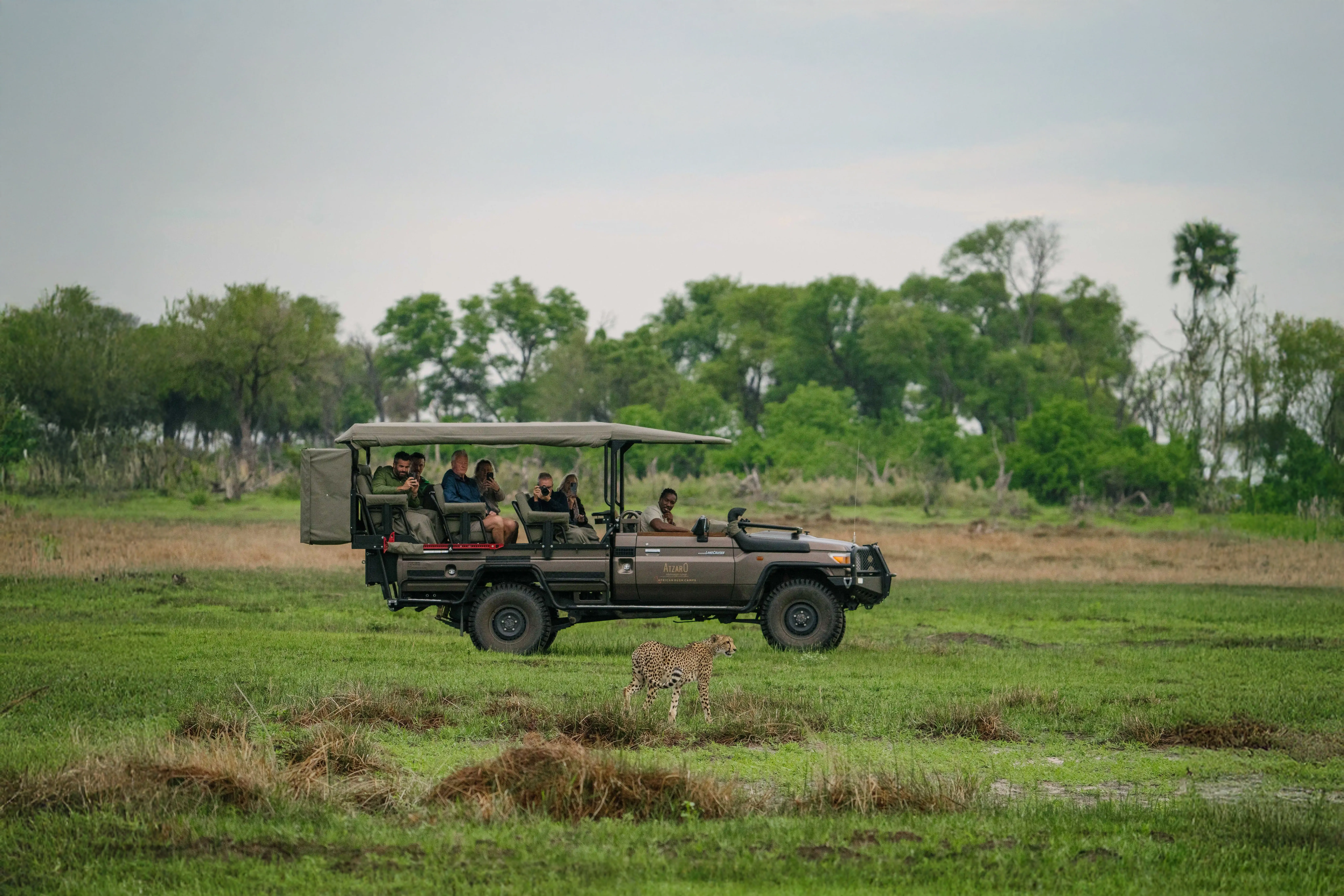 Safari Games Drive Atzaró Okavango Camp