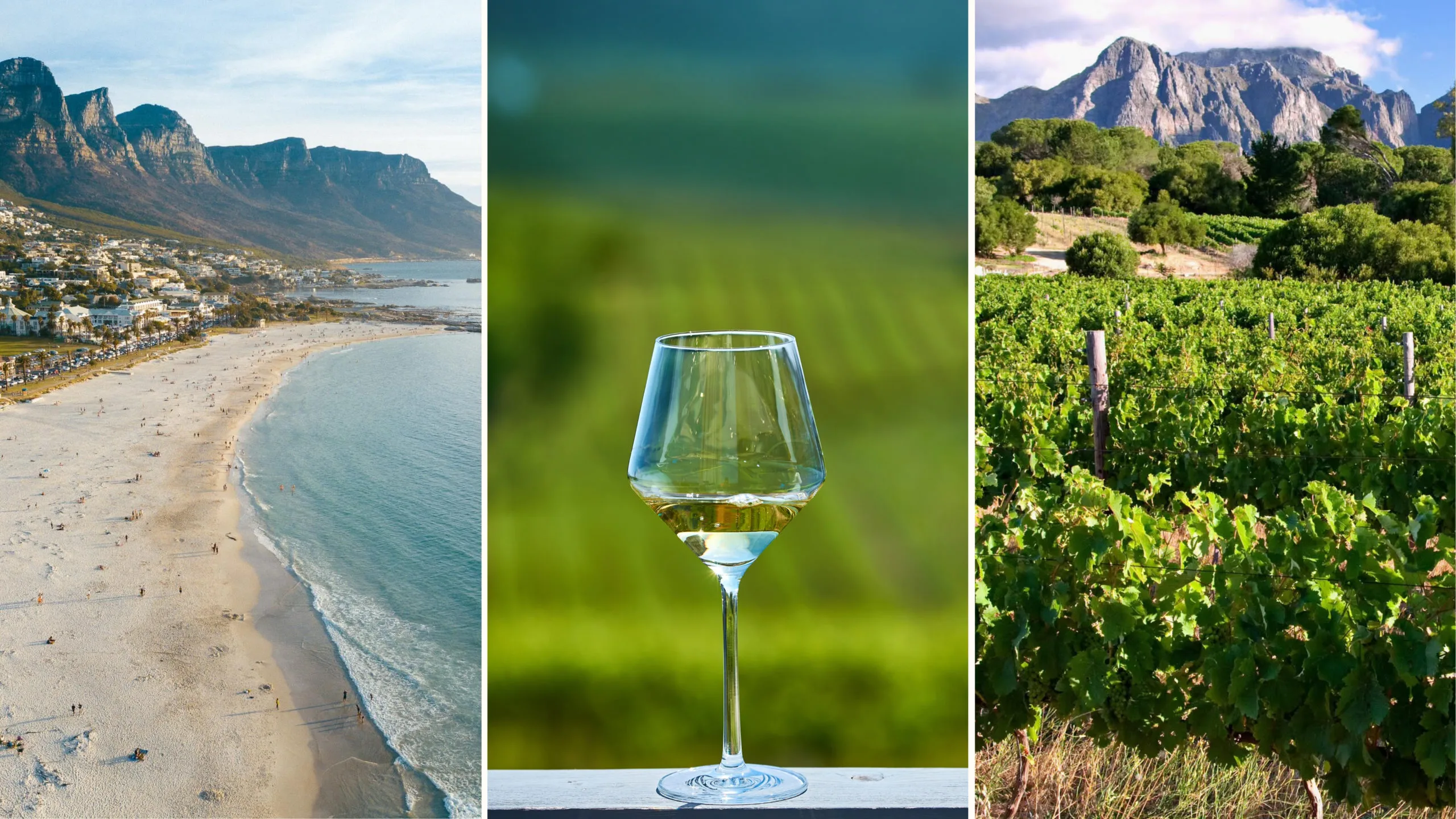 Chapman's Peak and Cape Town Vineyards