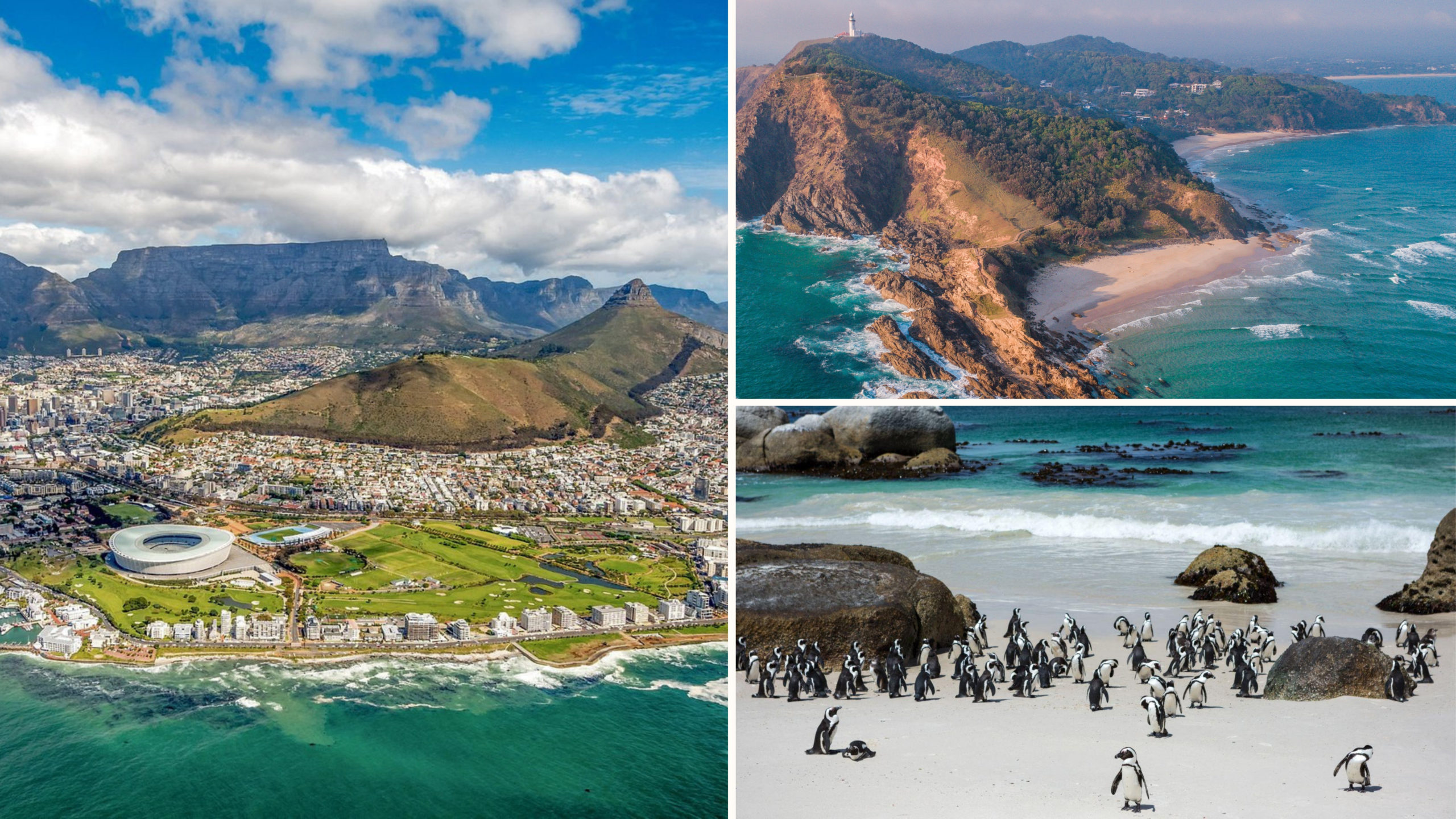 Table Mountain, Cape Peninsula and penguins in Cape Town: things to do during your stay