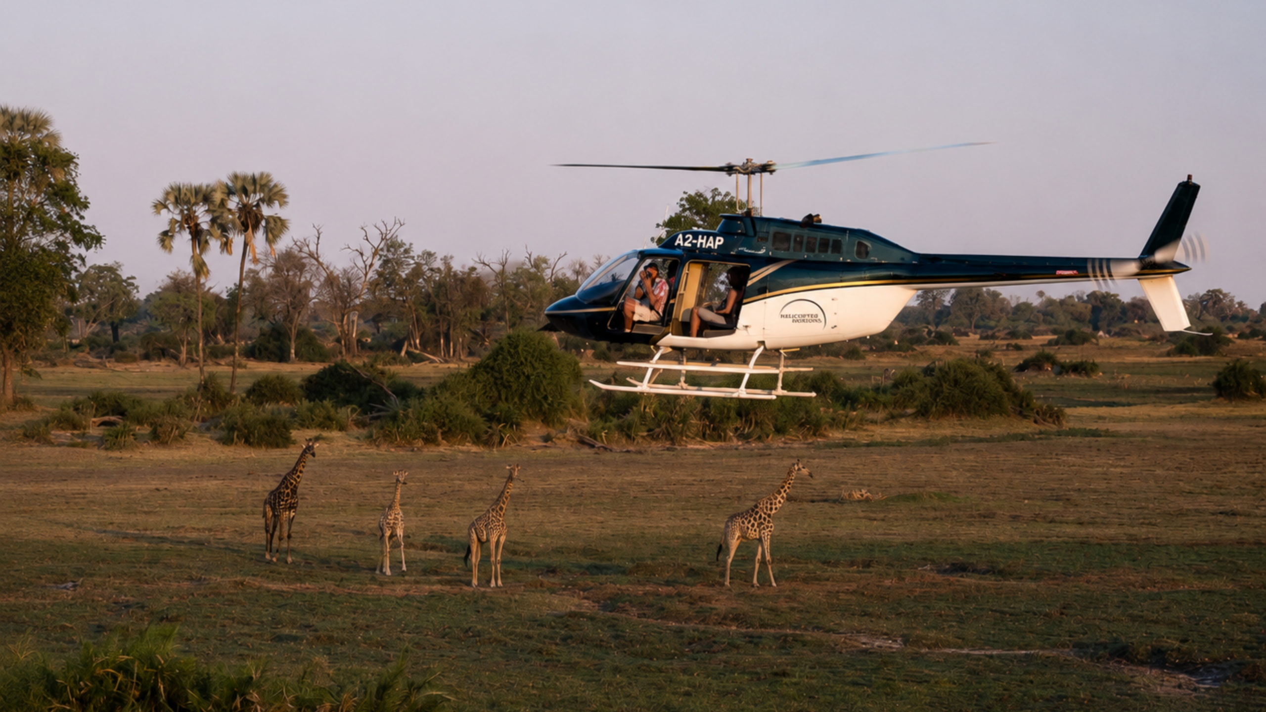 Atzaró Okavango Camp experiencing one of Africa's most remarkable safari in Botswana