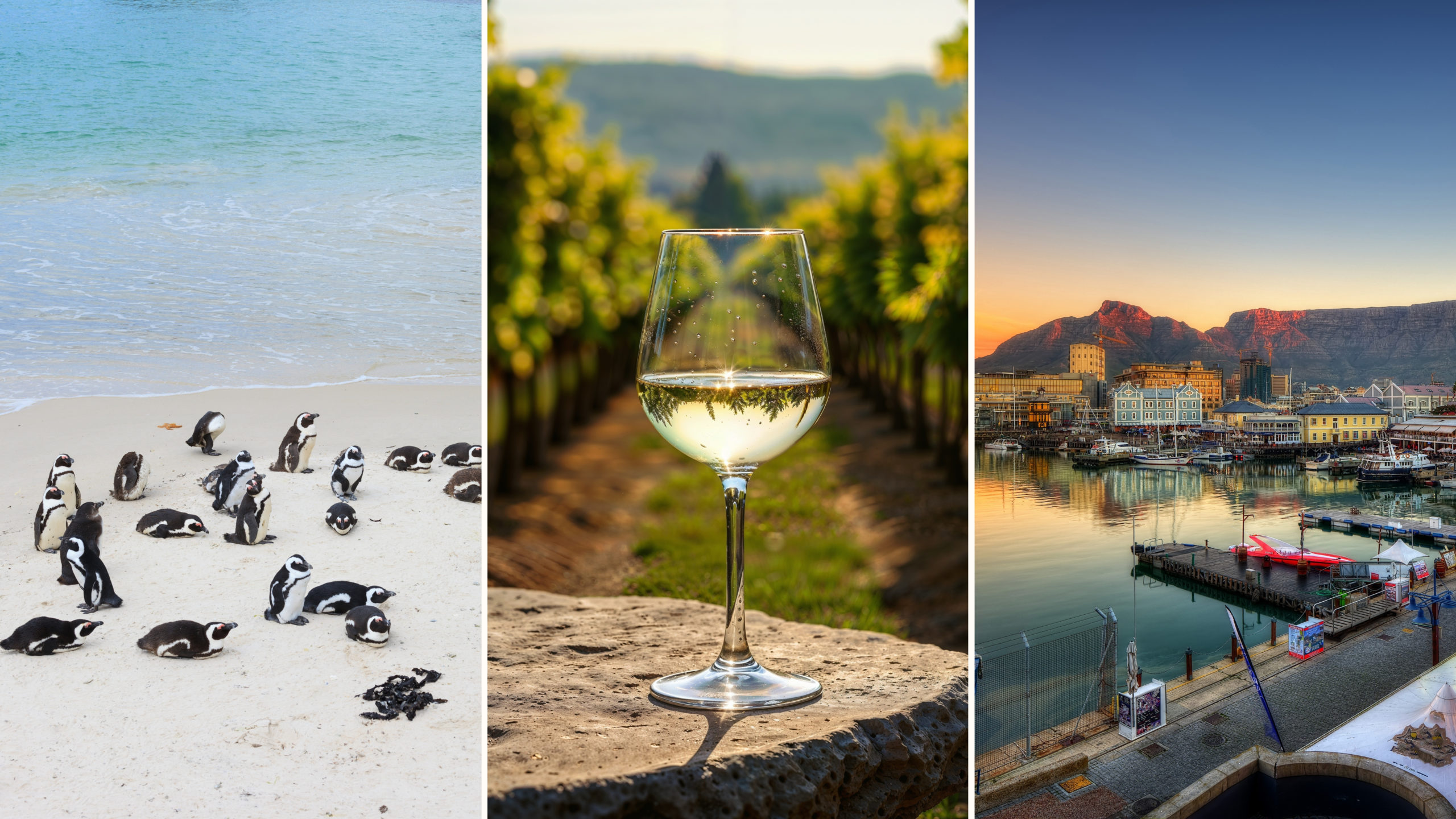 Constantia Wine Route, Camps Bay, Boulders Beach and Waterfront Experiences in Cape Town