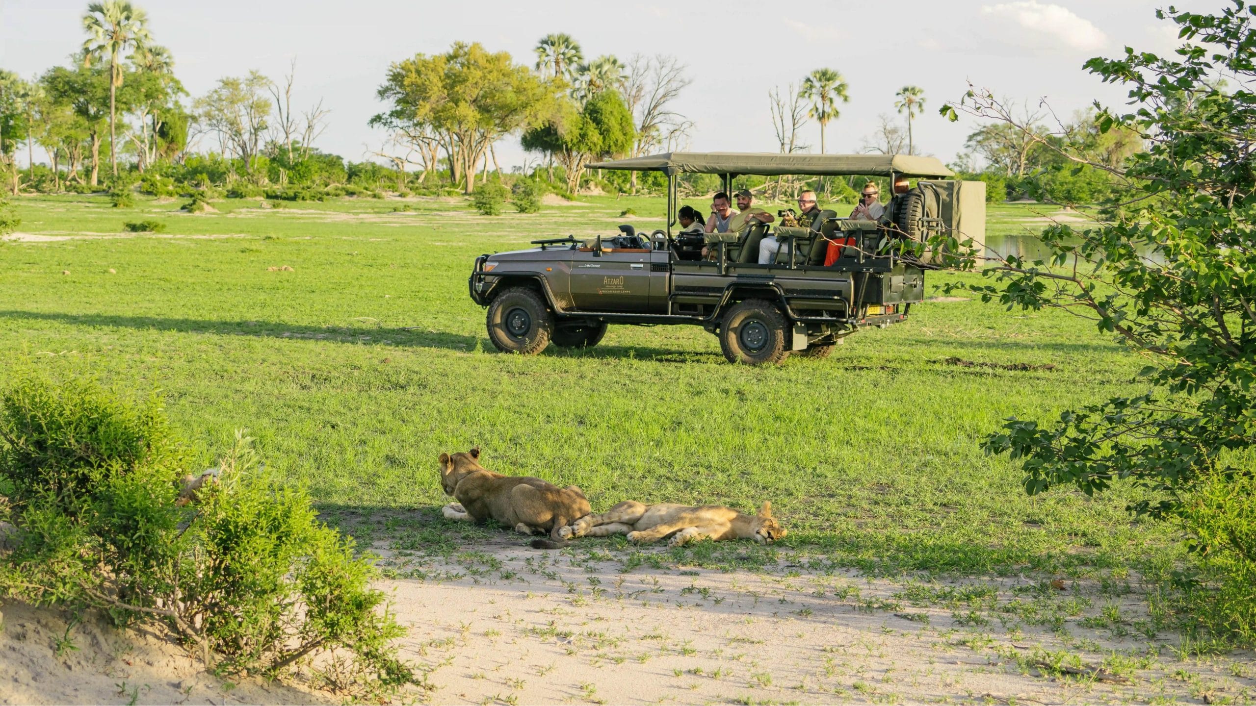 game drive at atzaro okavango camp luxury safari in botswana's okavango delta