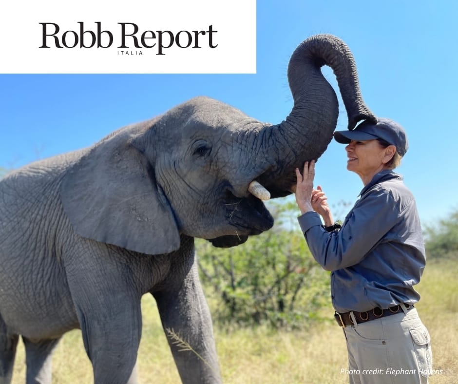 Atzaró African Ultimate Experience | Robb Report Italia