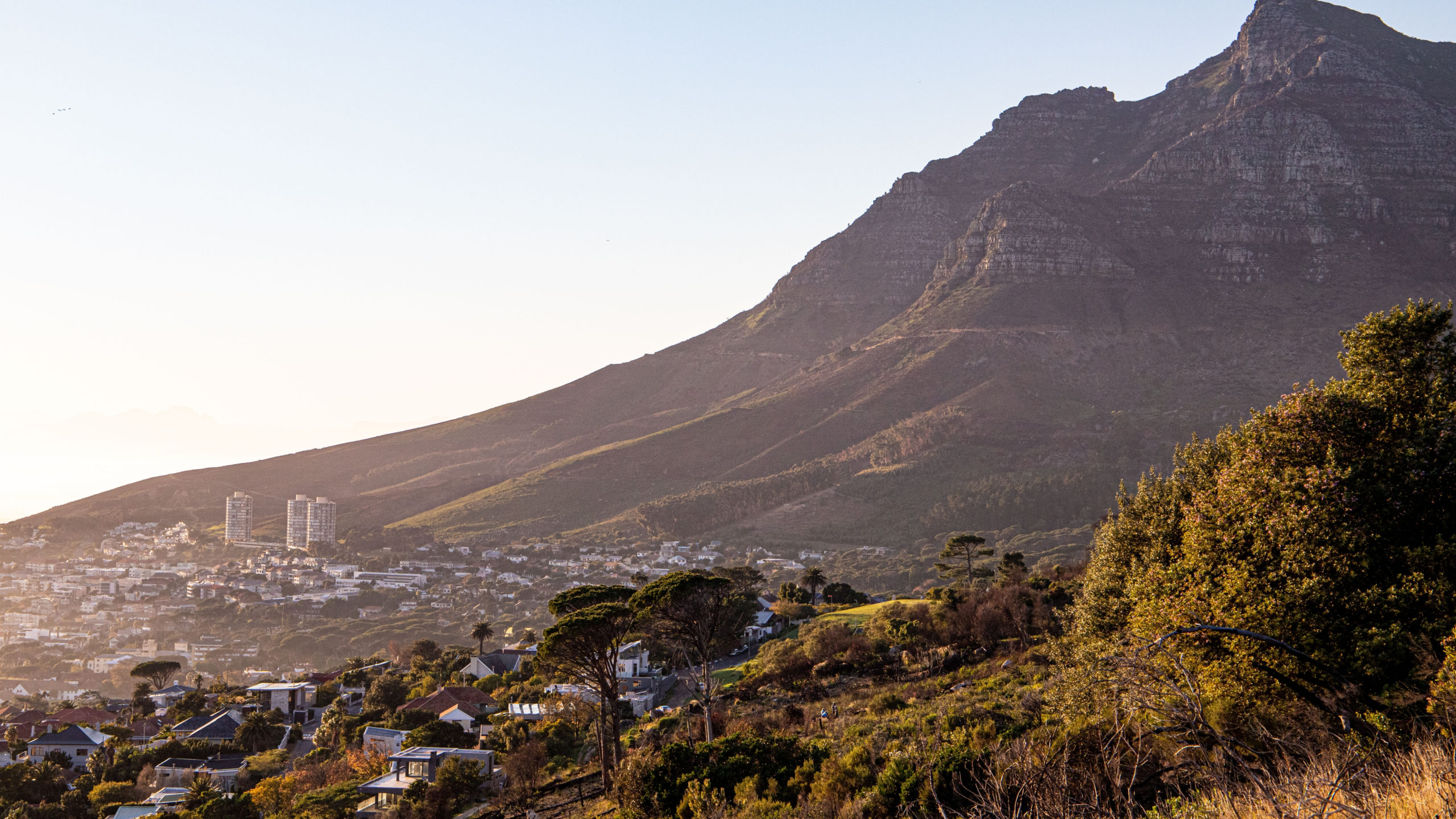 Warm golden evening light on the steep brown and green slopes of Table Mountain above Cape Town neighborhoods, with tall buildings and trees below and a pale pink and blue sky, a classic view before sunset.
